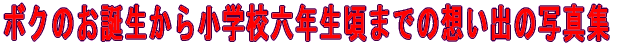{N̂a珬wZZN܂ł̑zo̎ʐ^W 